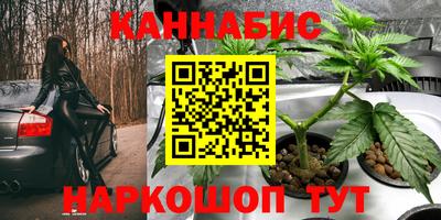 spice Бийск